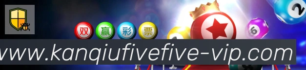 未来规划